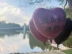 -东湖落雁景区