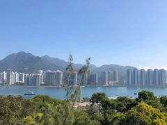 -大埔公路-马料水段香港中文大学(公交站)