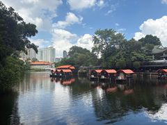 -侨美·唐荔园·40年地道粤菜