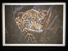 -罗红摄影艺术馆