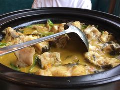 -饭怕鱼(阳光100店)