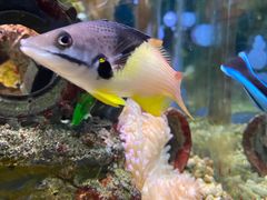 -太平洋海底世界