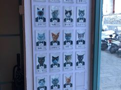 -喵屿·大理花园猫咖