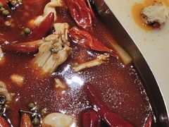 -麻田会 ·鲜活现烹·牛蛙火锅(珠江新城维家思广场店)