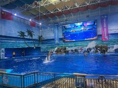 -多彩贵州城极地海洋世界