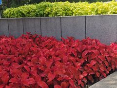 -黑龙江省森林植物园