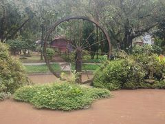 -莫里热带雨林景区