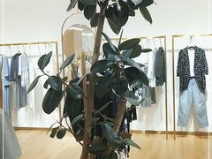 -京北大世界