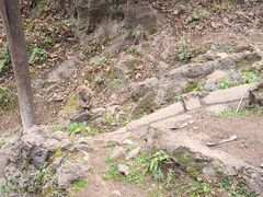 -黔灵山公园