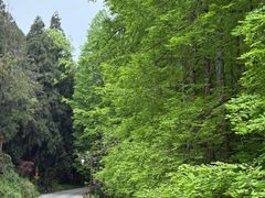 -山王坪喀斯特国家生态公园