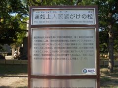 -大阪历史博物馆