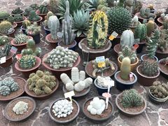 -南通洲际绿博园