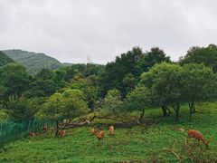 -大水川景区