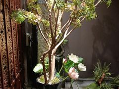 -金狮麟·新豫菜(杏石口路店)