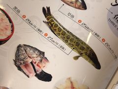 -活鱼馆(宜兴埠店)