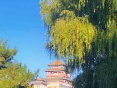 -莲花池公园