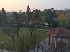 iphone_upload_pic-苏州金鸡湖大酒店