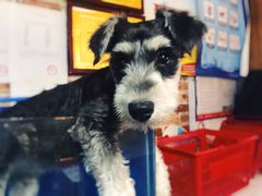 -三个大叔烤羊肉串·炭炉砂锅菜(西三旗店)