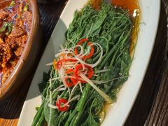 白灼丝瓜尖-懒人盐府人家(安贞店)