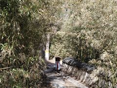 -大觉寺-停车场