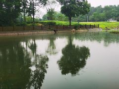 -武汉世外桃源农庄