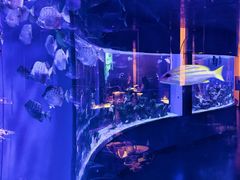 -上和臻品中国菜(花园街店)