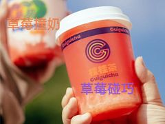 -桂桂茶(万嘉广场店)