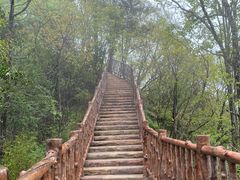 -塔云山