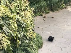 -杭州少年儿童公园