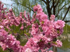 -北京西山国家森林公园