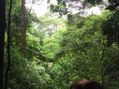 -凤栖山