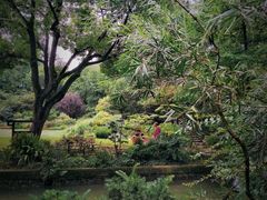 -上海醉白池公园