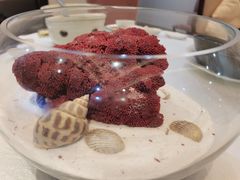 -欢乐海岸美食联盟