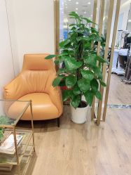 -YESIDO椰岛造型