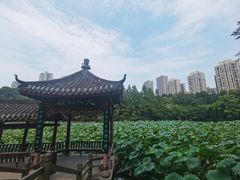 -龙头寺公园