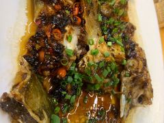 -鸽王世家(东华东路店)