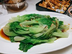 豉油生菜-佬肥猫(国华广场店)