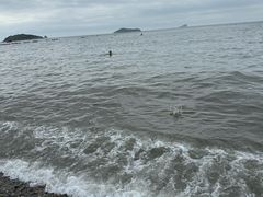 -星海湾跨海大桥