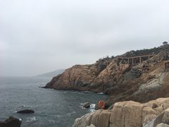 -广东惠东海龟国家级自然保护区