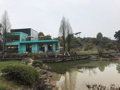 -铁山坪森林公园