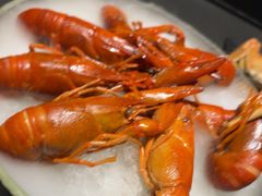 -红盔甲·小龙虾(人民广场店)