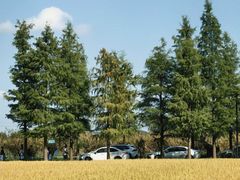 -广富林郊野公园