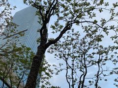 -静安公园(静安寺街道)