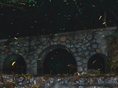 -紫霞湖公园