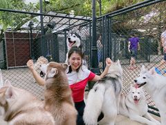 -TrueLove @ Neverland (Husky Cafe)