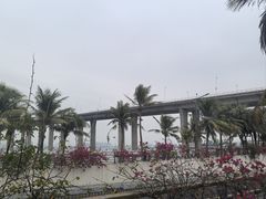 -中澳友谊花园