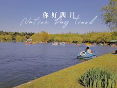 -上海共青森林公园