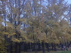 -阳台山自然风景区