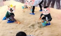 -恐龙探索乐园(磁器口店)