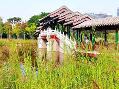 -西海子公园